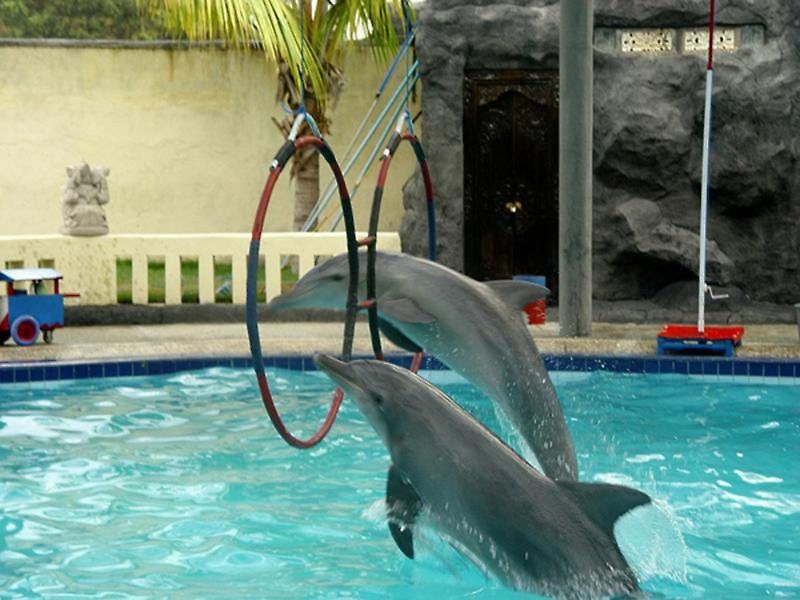 Oyo 2334 Melka Excelsior Hotel Singaraja Eksteriør billede